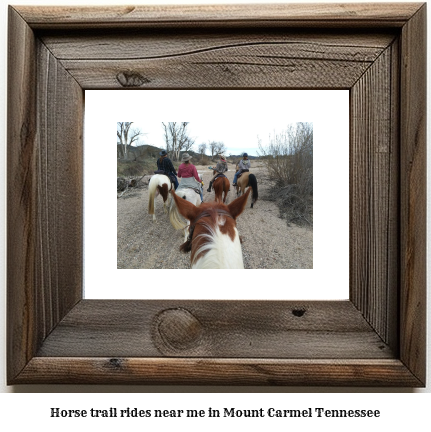 horse trail rides near me in Mount Carmel, Tennessee